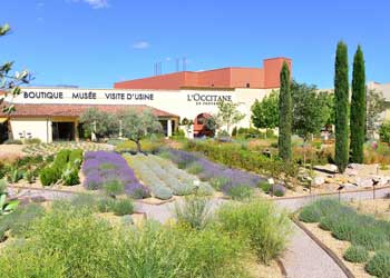 L'Occitane en Provence Manosque